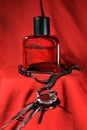 Red color men perfume bottle isolated on red background with female accessories. Perfume bottle of `Wild Stone` with black cap