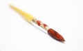 Red color on paint brush isolated on white background1 Royalty Free Stock Photo