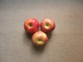 Red color ripe Gala apples Royalty Free Stock Photo