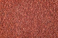 Red Color Rubber Surface or Running Track Texture Royalty Free Stock Photo