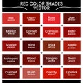 red color shades vector illustration with color hex code, twenty primary red hex code with color name visible text, color theory
