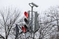 red color of traffic light and camera for fixing violations on the background of tree