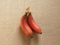Red Cavendish banana Royalty Free Stock Photo