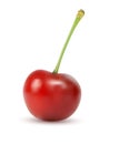 Red colored cherry with green stalk