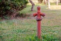 Red colored fire hydrant on a green field