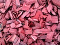 Red colored kindling  as decoration  in park Royalty Free Stock Photo