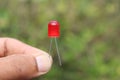 Red colored LED or light emitting diode held in the hand on nature background. Electronic components used inside elecronics Royalty Free Stock Photo