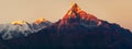 Red colored sunset view of mount Machhapuchhre Royalty Free Stock Photo