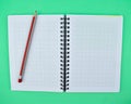 Red colored wood pencil crayon placed on top of a white spiral note book Royalty Free Stock Photo