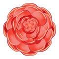 Red colorful camellia icon, cartoon style