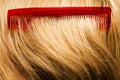Red comb on blond hair Royalty Free Stock Photo