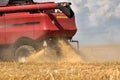 A red combine harvester mows a field of grain. Sunny hot day, ripples of air from the heat, blue sky with clouds. Close-up on the Royalty Free Stock Photo