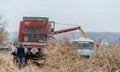 Fields before winter plowing with the remains of cut corn