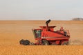 Red Combine in Soybean Field Royalty Free Stock Photo