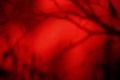Red composition abstract background.
