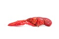 Red cooked crayfish Royalty Free Stock Photo