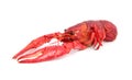 Red cooked crayfish Royalty Free Stock Photo