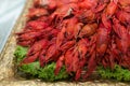 Red cooked crayfish Royalty Free Stock Photo