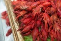 Red cooked crayfish Royalty Free Stock Photo