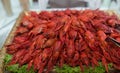 Red cooked crayfish Royalty Free Stock Photo