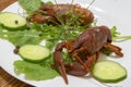Red cooked crayfish on the white plate served with green salad. Royalty Free Stock Photo