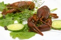 Red cooked crayfish on the white plate served with green salad. Royalty Free Stock Photo