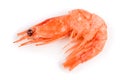 Red cooked prawn or shrimp isolated on white background Royalty Free Stock Photo
