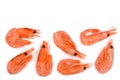 Red cooked prawn or shrimp isolated on white background with copy space for your text. Top view. Flat lay Royalty Free Stock Photo