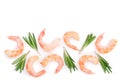Red cooked prawn or shrimp with rosemary isolated on white background with copy space for your text. Top view. Flat lay Royalty Free Stock Photo