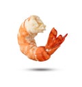 Red cooked prawn or tiger shrimp isolated on white background with clipping path Royalty Free Stock Photo