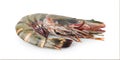 Red cooked prawn or tiger shrimp isolated on white background with clipping path Royalty Free Stock Photo