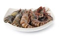 Red cooked prawn or tiger shrimp isolated on white background with clipping path Royalty Free Stock Photo