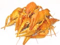 Red cooked river lobster Royalty Free Stock Photo