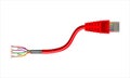 Red cord ethernet cable with connector rj45 on a white background. 3d rendering multicolor copper wires Royalty Free Stock Photo