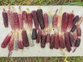 Red corn cobs on a white cloth on the ground Royalty Free Stock Photo