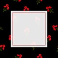 Red Corn Poppy Banner on Black Background