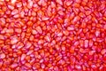 Red corn seed