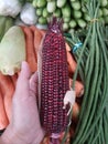 Red corn and vegetables Royalty Free Stock Photo