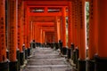 Red corridor in a shinto Shrine Fushimi Inari Taisha in Kyoto Japan Royalty Free Stock Photo