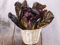 Red cos lettuce on wooden background