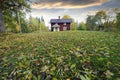 Red cottage and autumn leaves Royalty Free Stock Photo