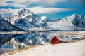 Red cottage in Lofoten, Norway Royalty Free Stock Photo