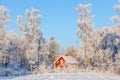 Red cottage in wintry forest Royalty Free Stock Photo