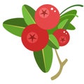 Red cowberries on stem with leaves flat vector icon Royalty Free Stock Photo