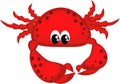 Red crab. Royalty Free Stock Photo