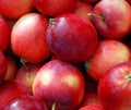 Red crab apples in farmer market Royalty Free Stock Photo