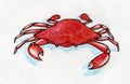 Red crab with blue shadow