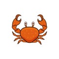 Red crab colorful cartoon flat style vector illustration. Sea creature, Royalty Free Stock Photo