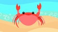 Crab on the sandy sea beach