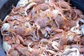 Red crabs caught by Indonesian fishermen